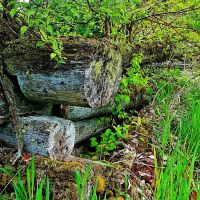 Bull River Paradise images 2