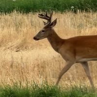 Bull River Paradise images 4