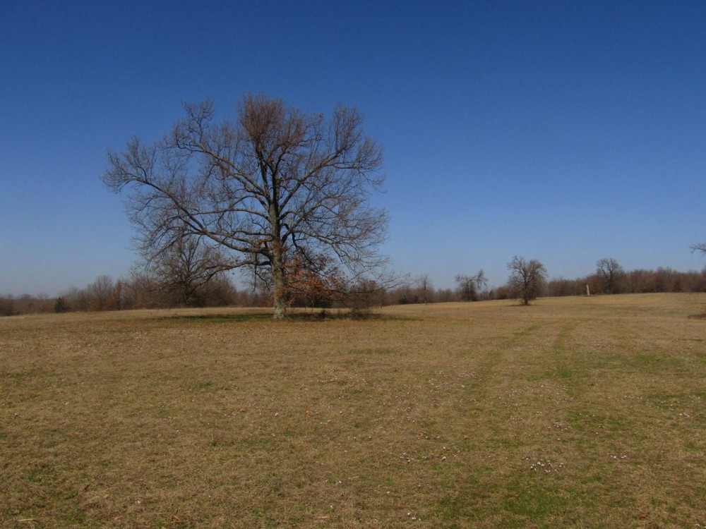 Prime Building Rolling Hill Tracts Choctaw County OK Tract 12 featured image
