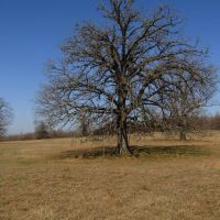 Prime Building Rolling Hill Tracts Choctaw County OK Tract 12 images 4