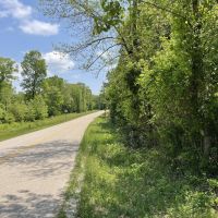 20 - Acres Mature Timber Evening Shade AR images 3