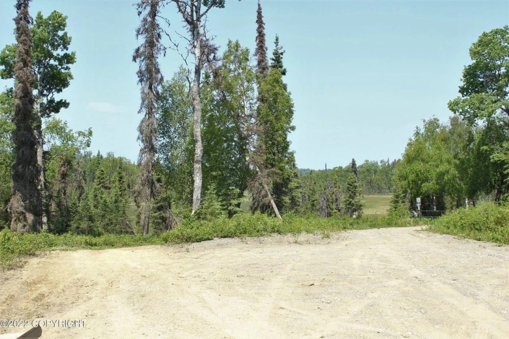 40 pristine off-grid acres with driveway and pad Nikiski featured image