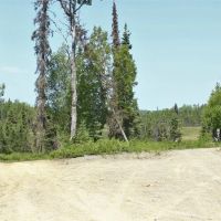 40 pristine off-grid acres with driveway and pad Nikiski