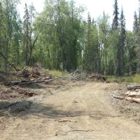 40 pristine off-grid acres with driveway and pad Nikiski images 3