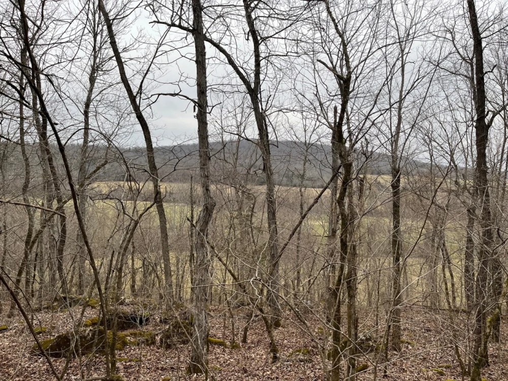 27 Acres For Sale in Leslie Ar featured image