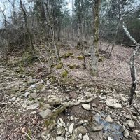 27 Acres For Sale in Leslie Ar images 2