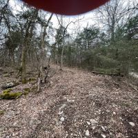 27 Acres For Sale in Leslie Ar images 3