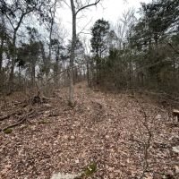 27 Acres For Sale in Leslie Ar images 4