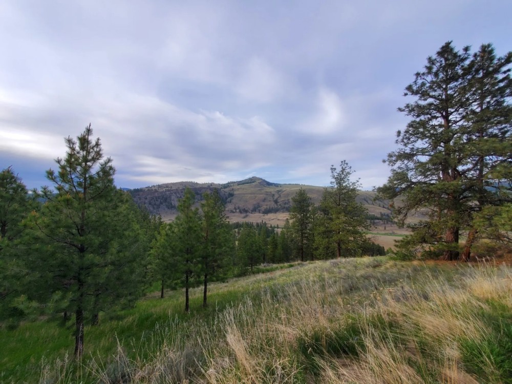 Figlenski Springs Ranch featured image
