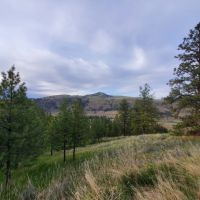 Figlenski Springs Ranch