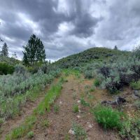 Figlenski Springs Ranch images 3