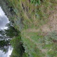 Figlenski Springs Ranch images 4