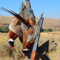Horseshoe Curve Hunting Ranch