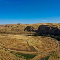 Horseshoe Curve Hunting Ranch images 3