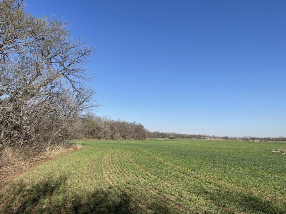 Sheridan Road 40 featured image