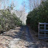 Mountain Meadows on Grape Cove 157 - Acres Swain County NC images 5