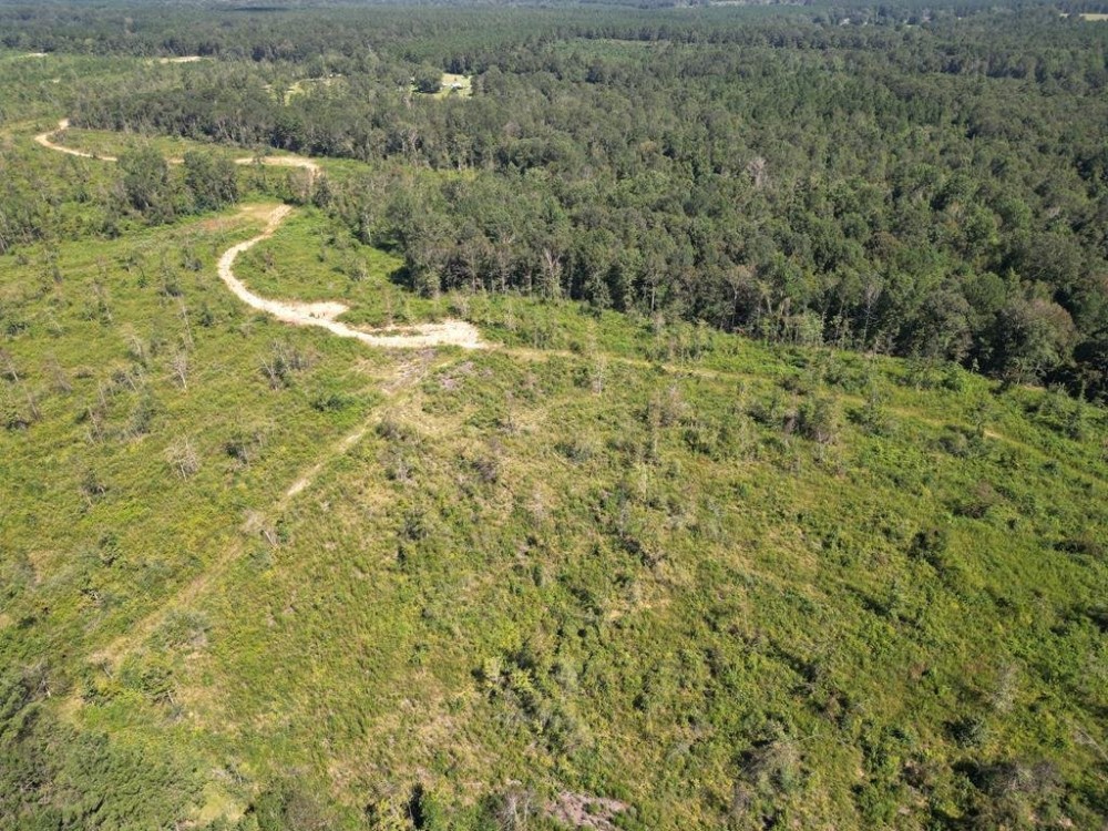 60 - Acres for Sale in Southwest Mississippi featured image
