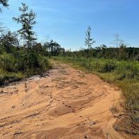 60 - Acres for Sale in Southwest Mississippi images 2