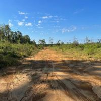 60 - Acres for Sale in Southwest Mississippi images 3