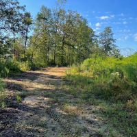60 - Acres for Sale in Southwest Mississippi images 4
