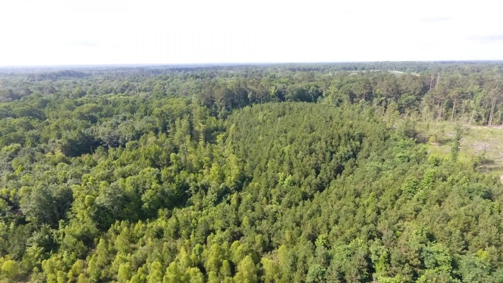 Hermitage 30 Hunting Land for Sale