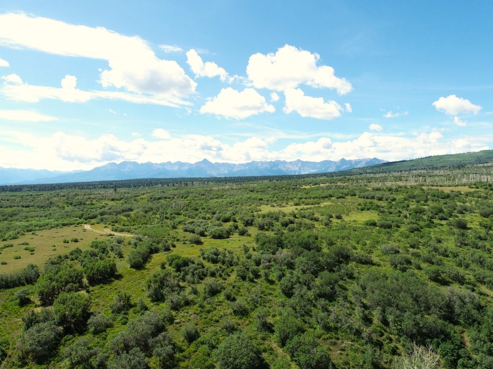 Horsefly Mesa Ranch featured image