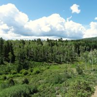 Horsefly Mesa Ranch images 2