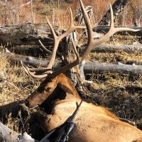 Horsefly Mesa Ranch images 4