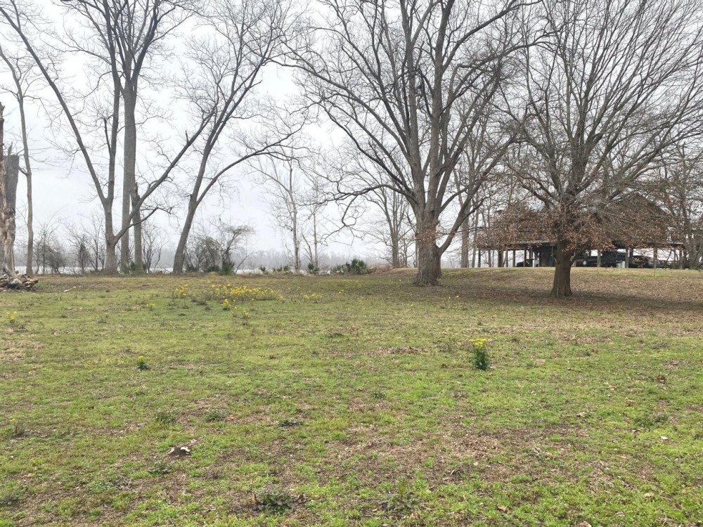Yucatan Lake Lot For Sale Tensas Parish LA featured image