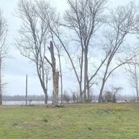 Yucatan Lake Lot For Sale Tensas Parish LA images 2