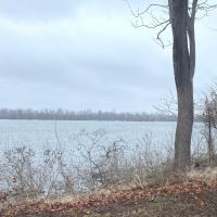Yucatan Lake Lot For Sale Tensas Parish LA images 4