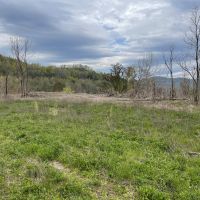 Westbourne Mountain images 2