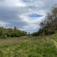 Westbourne Mountain images 3