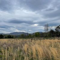 Westbourne Mountain images 4