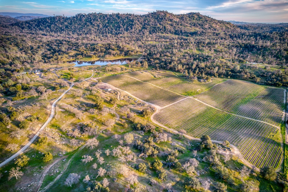 Love Ranch featured image