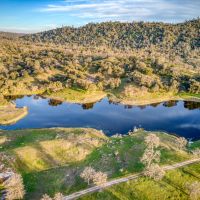 Love Ranch images 2