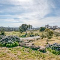 Love Ranch images 4