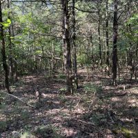 18 - Acres Great building sites Sharp Co Ash Flat AR