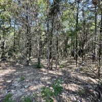 18 - Acres Great building sites Sharp Co Ash Flat AR images 4
