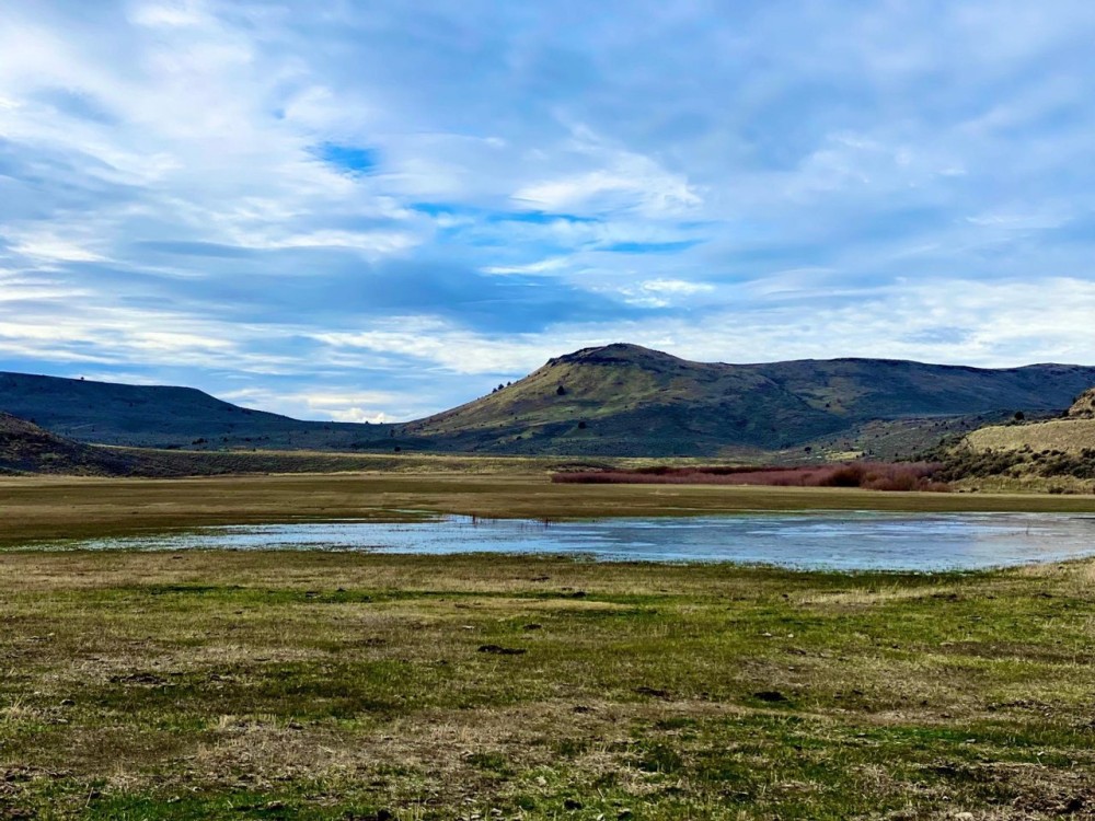 Circle Bar Ranch featured image