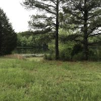 Rustic home on 60 - Acres Lawrence County AR images 4