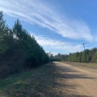 42 Acres T-1 Nursery Road images 3
