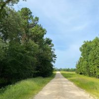 42 Acres T-1 Nursery Road images 4