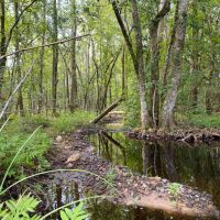 42 Acres T-1 Nursery Road images 5