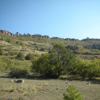 T Bar Ranch