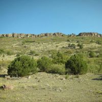 T Bar Ranch images 2
