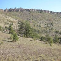 T Bar Ranch images 3