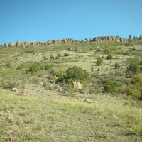 T Bar Ranch images 5