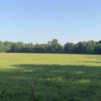 80 - Acres with Sorghum Wheat Base Tillable Clay Co Rector AR