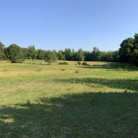80 - Acres with Sorghum Wheat Base Tillable Clay Co Rector AR images 2
